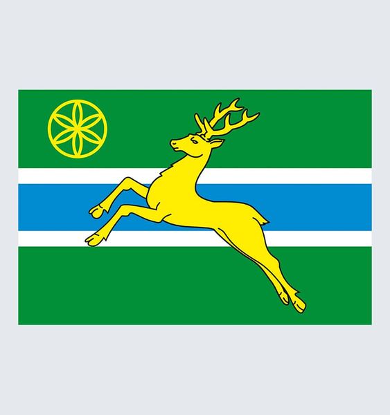 Прапор Самбірського району U-L-039 фото