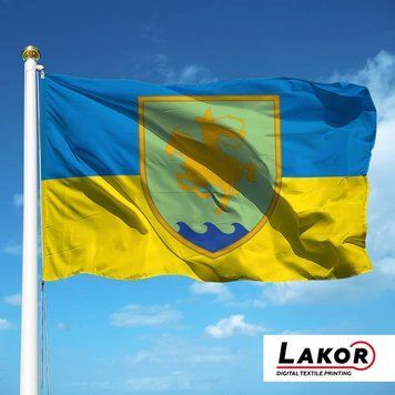 Прапор 21 Окремий Мотопіхотний Батальйон &laquo;Сармат&raquo; V-272 фото