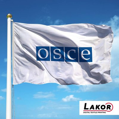 Прапор Організації з безпеки і співробітництва в Європі (ОБСЄ) О-003 фото