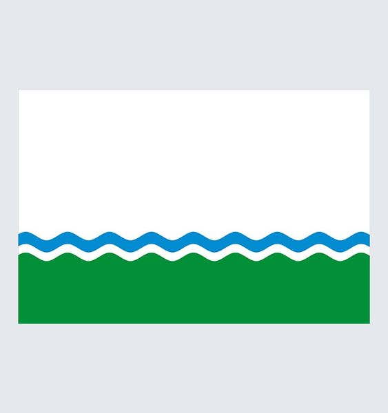 Прапор Кальміуського U-Dn-020 фото